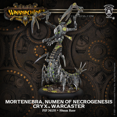 PIP34135 WRM Cryx Mortenebra, Numen of Necrogenesis Blister